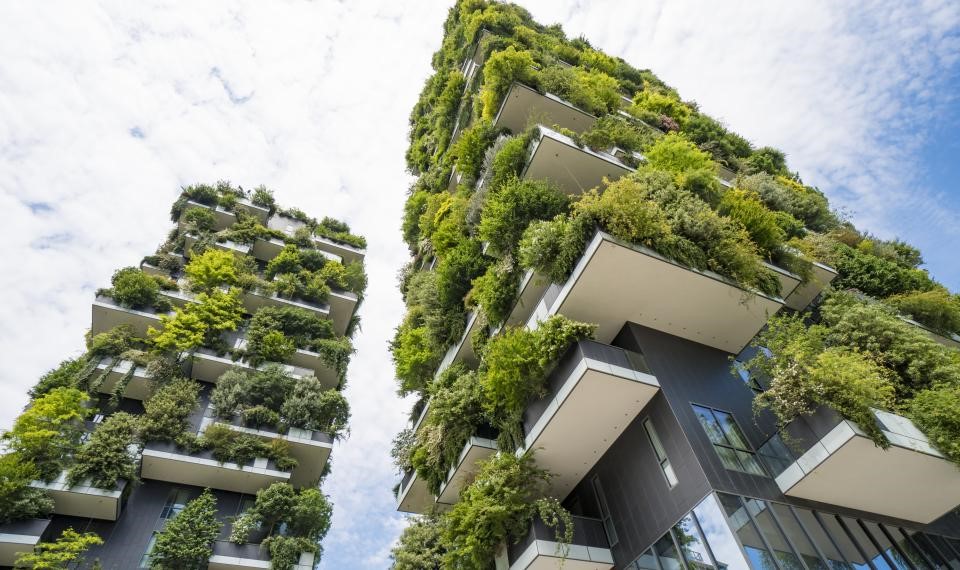 Illustration Etude Illustration Etude